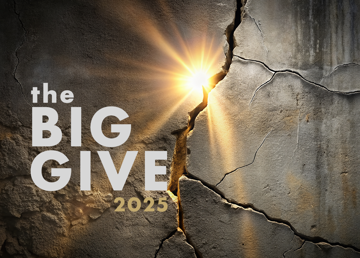 The Big Give